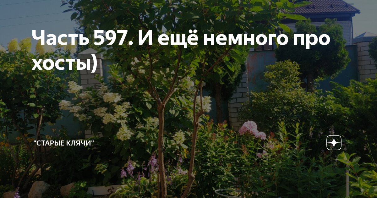 Часть 597. И ещё немного про хосты) | "Старые клячи" | Дзен