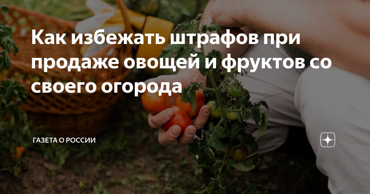 Какие цветы нельзя держать в доме фото. Запрещенные растения на дачном участке. Какие цветы нельзя сажать 2024. Какие цветы запретили сажать. Какие цветы нельзя выращивать на участке.