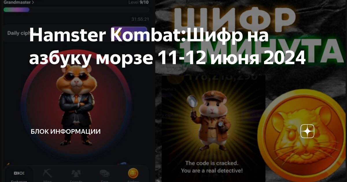 Хамстер комбат где