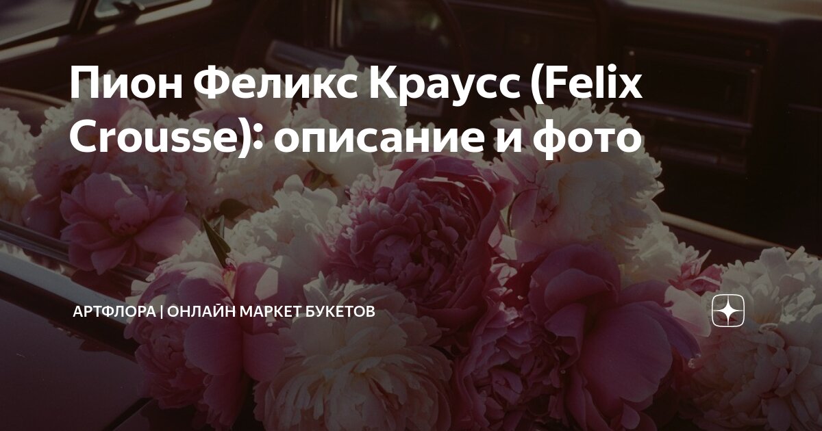 Пион Феликс Краусс (Felix Crousse): описание и фото | АртФлора | Онлайн ...