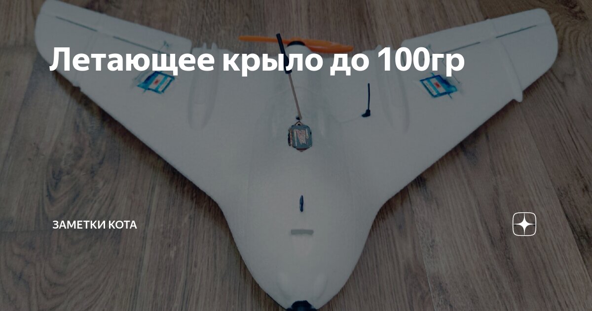 Летающее крыло до 100гр | Заметки кота | Дзен