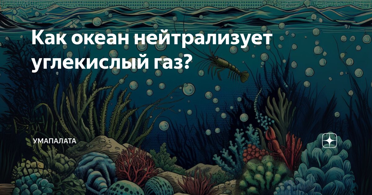 как океан поглощает углекислый газ
