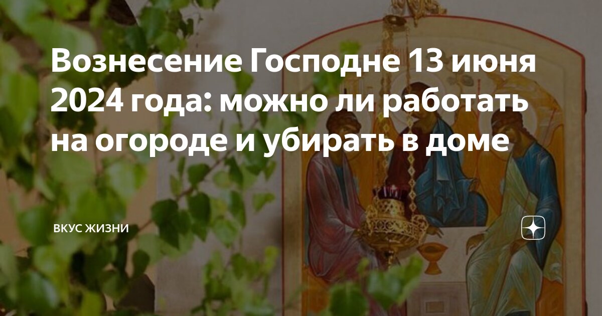 Работает ли шейн в 2024 году