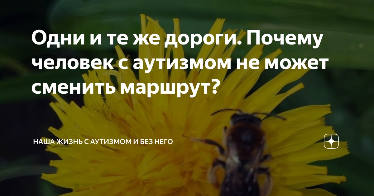 Одни и те же дороги. Почему человек с аутизмом не может сменить маршрут ...