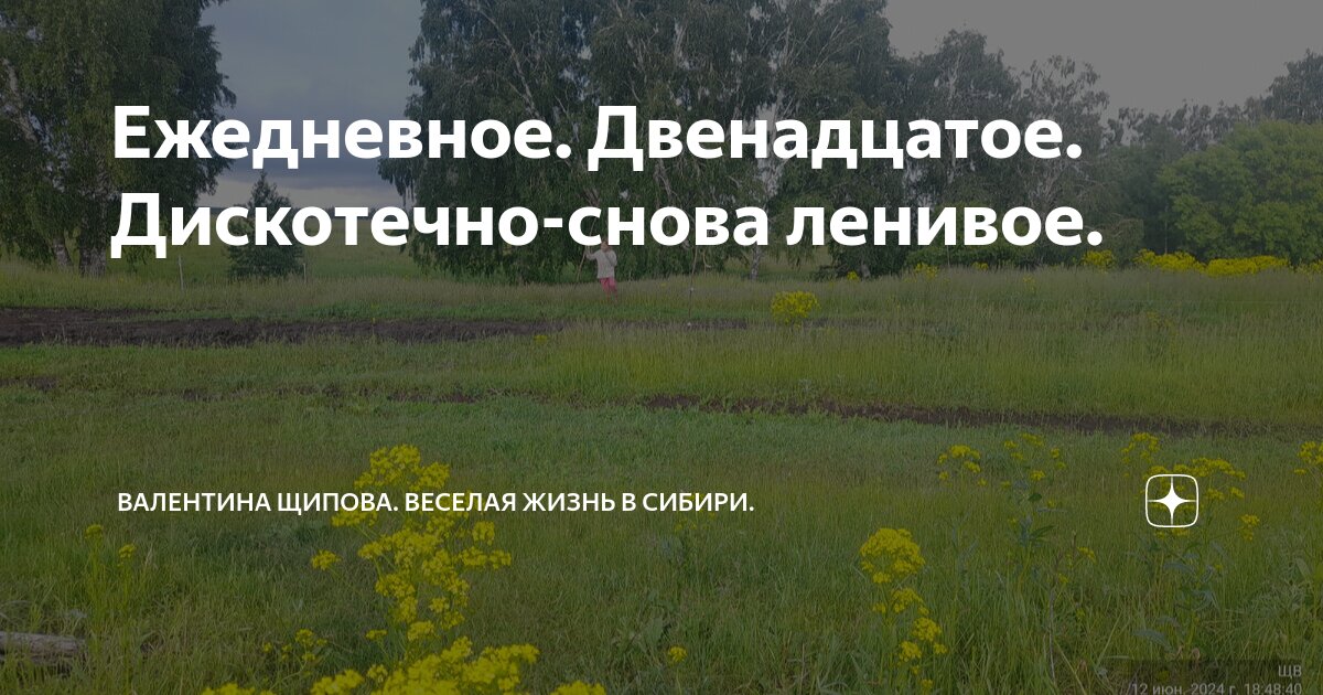Ежедневное. Двенадцатое. Дискотечно-снова ленивое. | Валентина Щипова ...