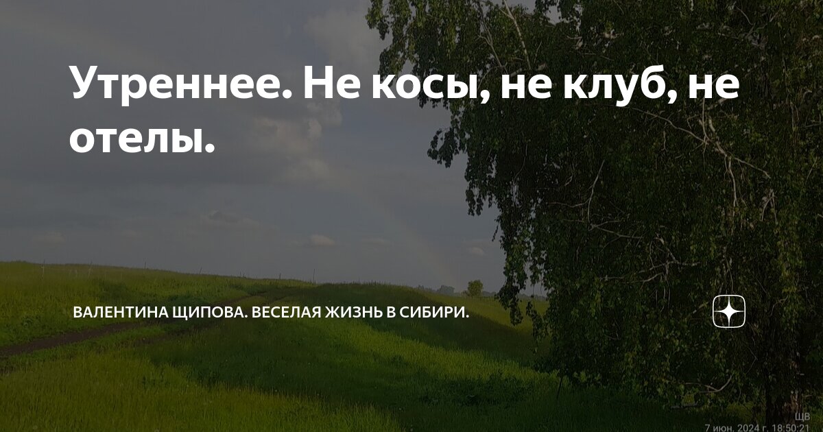 Утреннее. Не косы, не клуб, не отелы. | Валентина Щипова. Веселая жизнь ...