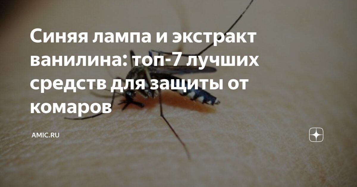 Синяя лампа и экстракт ванилина: топ-7 лучших средств для защиты от ...