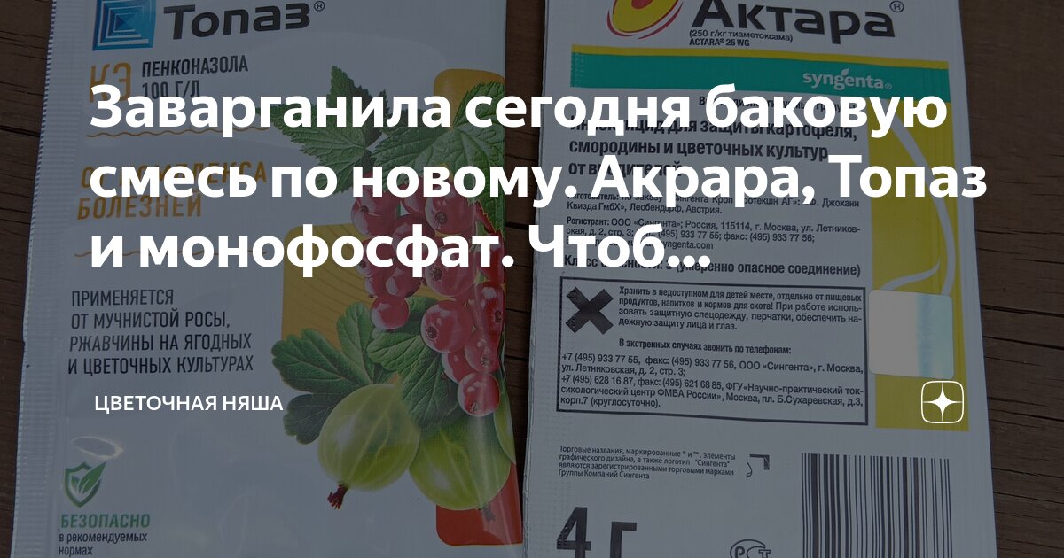 Заварганила сегодня баковую смесь по новому. Акрара, Топаз и монофосфат ...