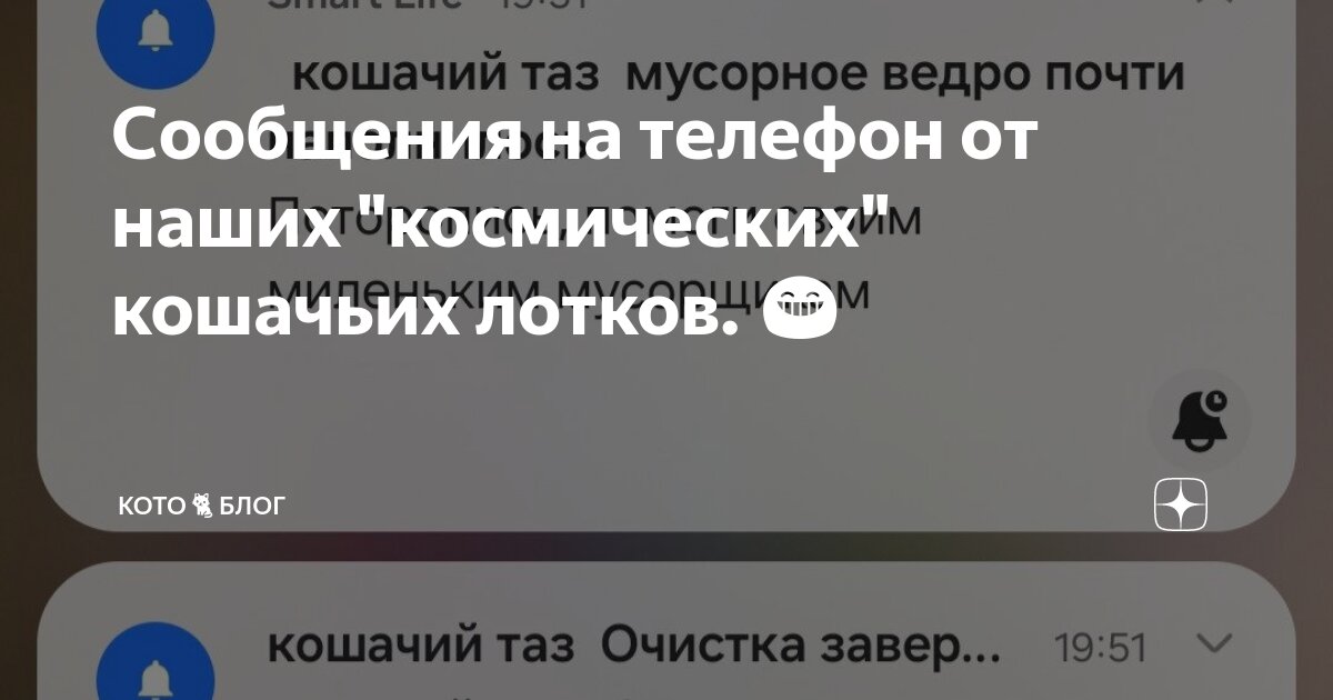 тебе на телефон пришло сообщение