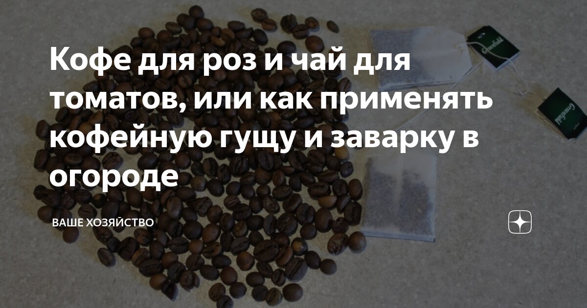 Кофе для роз и чай для томатов, или как применять кофейную гущу и ...