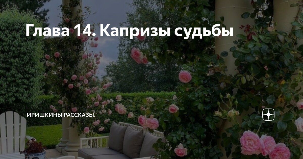 Глава 14. Капризы судьбы | Иришкины рассказы. | Дзен
