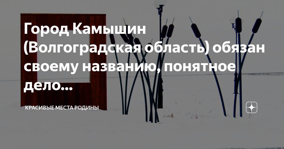 Жесть. Камышин. | ЧП Происшествия Камышина и Волгоградской области | ВКонтакте