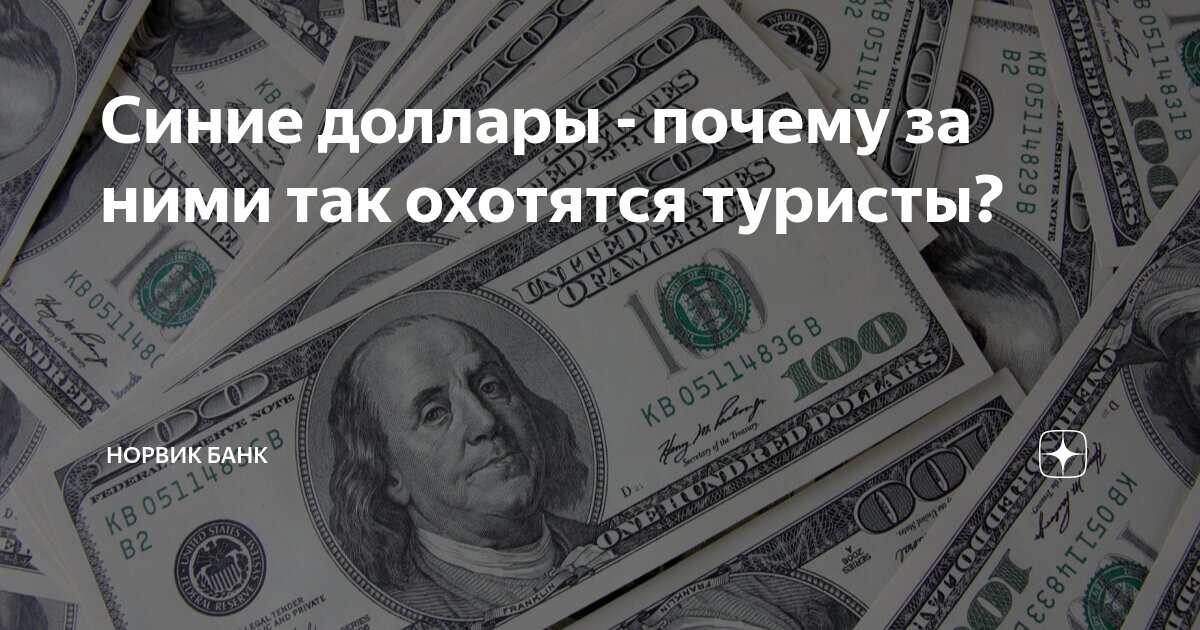 Синие доллары - почему за ними так охотятся туристы? | Норвик Банк | Дзен