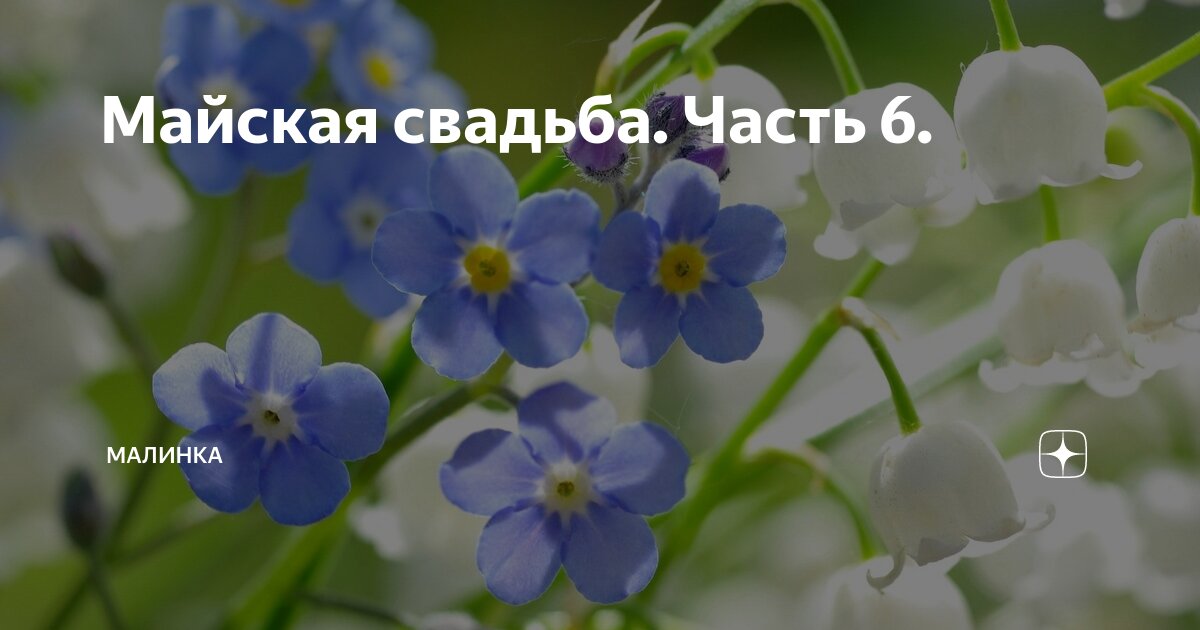 Майская свадьба. Часть 6. | малинка | Дзен