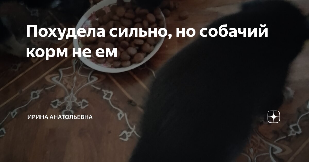 Похудела сильно, но собачий корм не ем | Ирина Анатольевна | Дзен