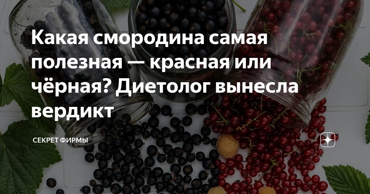 Какая смородина самая полезная — красная или чёрная? Диетолог вынесла ...
