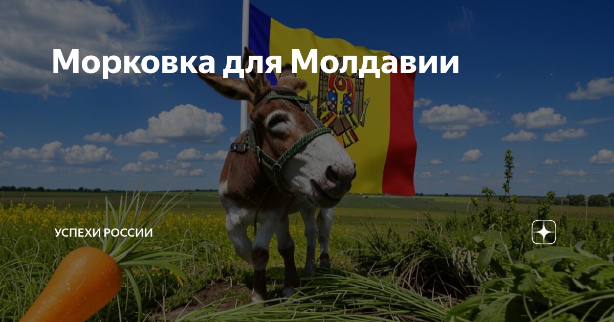 Морковка для Молдавии | Успехи России | Дзен