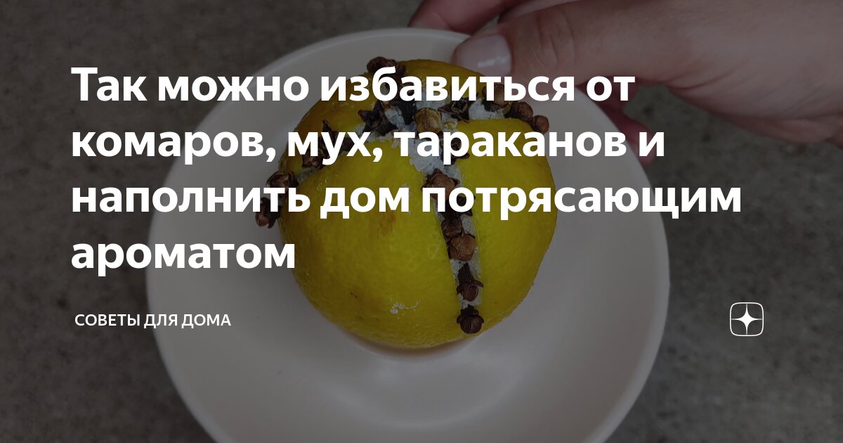 Так можно избавиться от комаров, мух, тараканов и наполнить дом ...