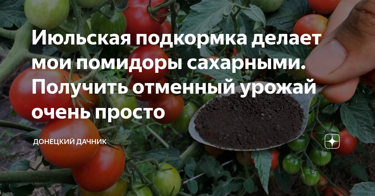 Июльская подкормка делает мои помидоры сахарными. Получить отменный ...