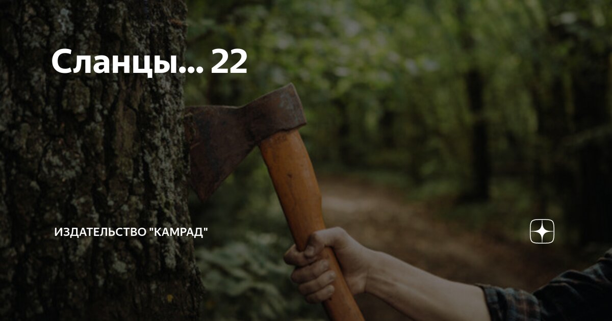 Сланцы... 22 | Издательство "Камрад" | Дзен