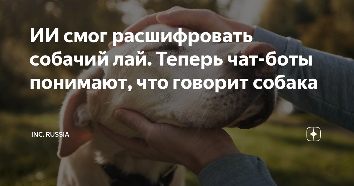 ИИ смог расшифровать собачий лай. Теперь чат-боты понимают, что говорит ...
