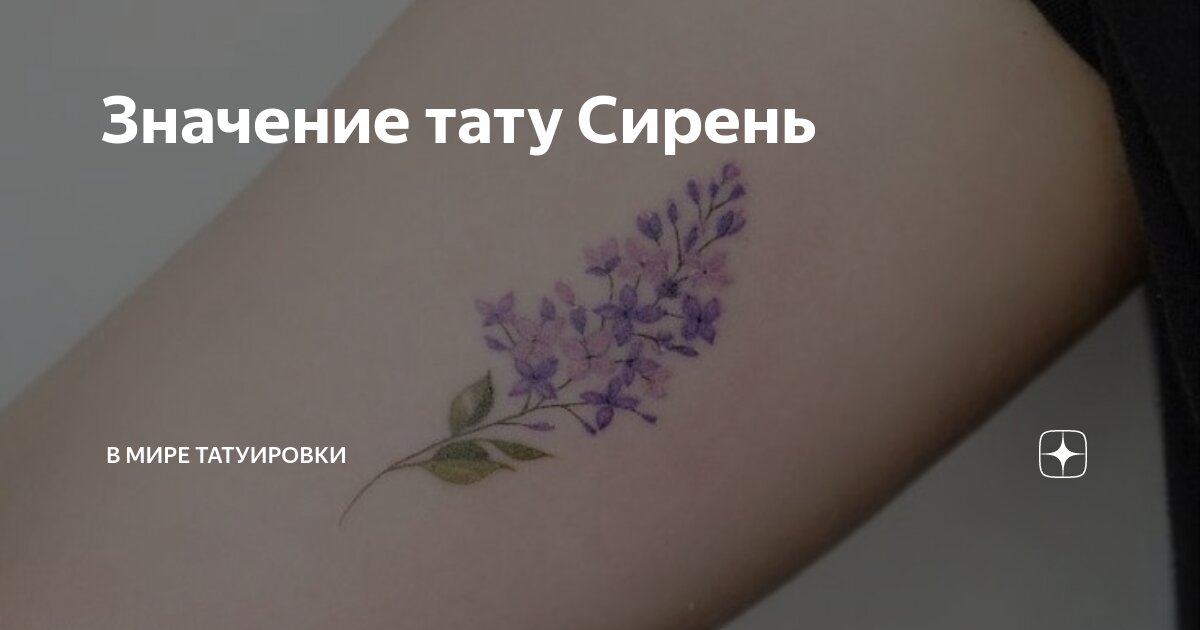 Пигмент КРАСКА Tattoo Ink Сирень