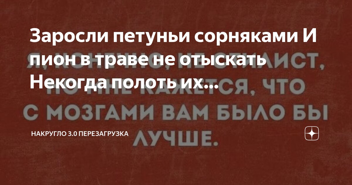 0 ватханалия. 0 ватханалия. 0 ватханалия. 0 ватханалия. Скрин доходов вб.