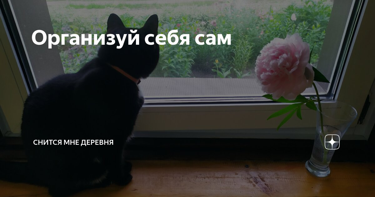 Организуй себя сам | Снится мне деревня | Дзен