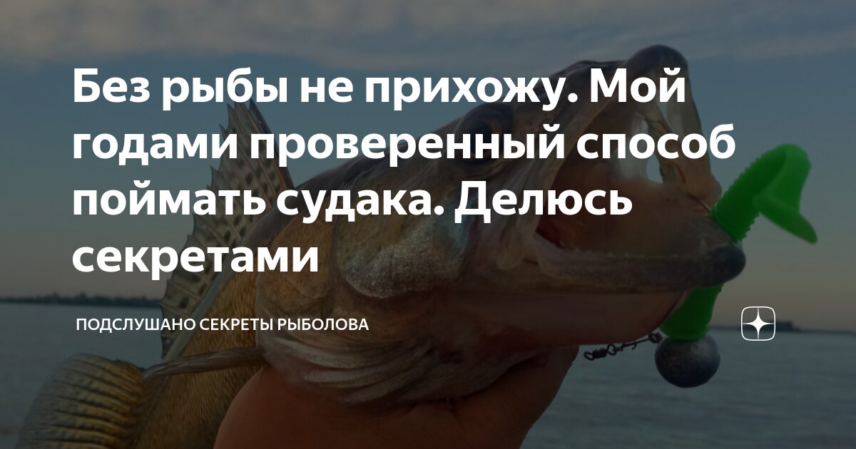 Без рыбы не прихожу. Мой годами проверенный способ поймать судака ...