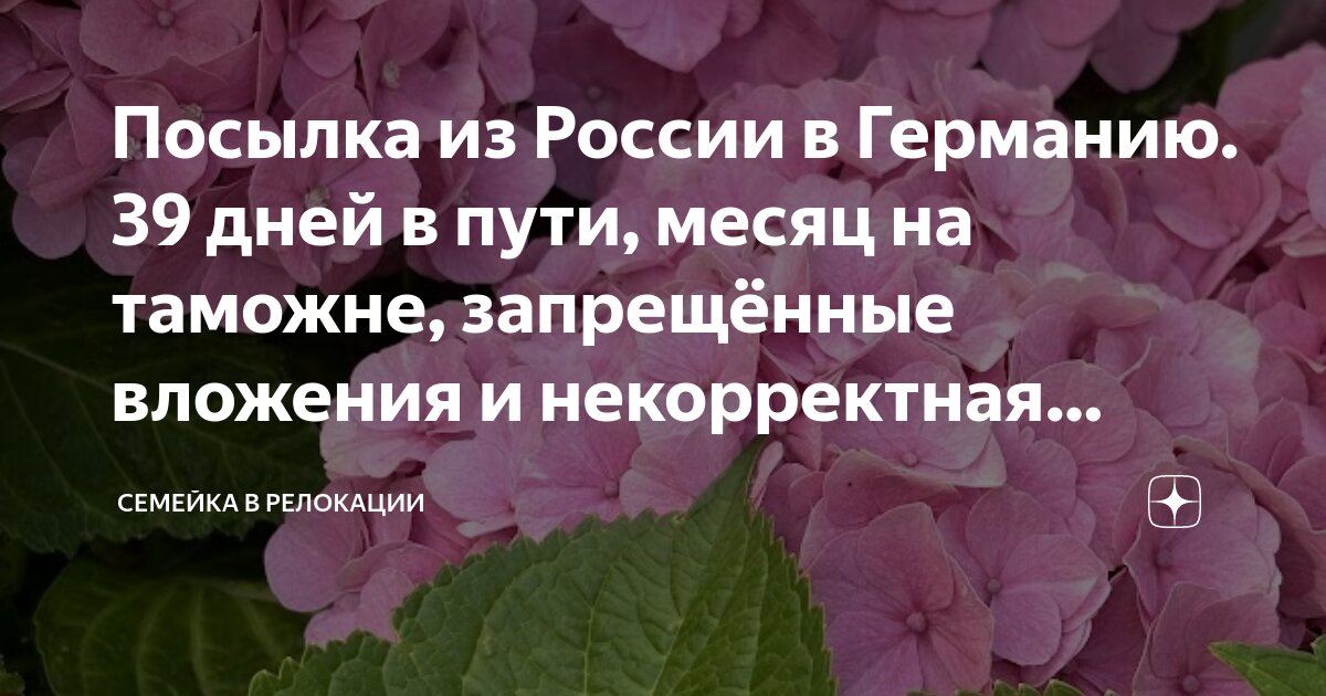 сколько дней идет посылка из украины в германию