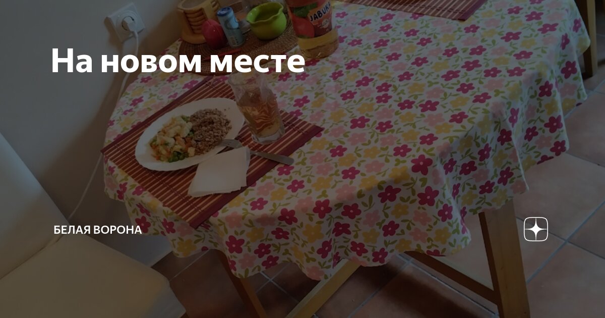 На новом месте | Белая ворона | Дзен