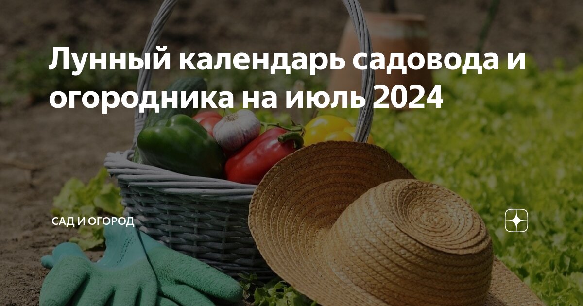 Лунный календарь 29 мая 2024 год