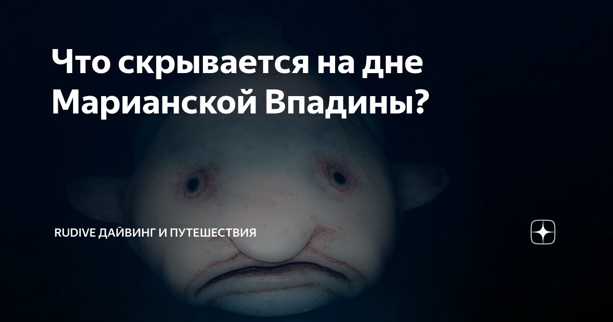 что на дне марианской впадины