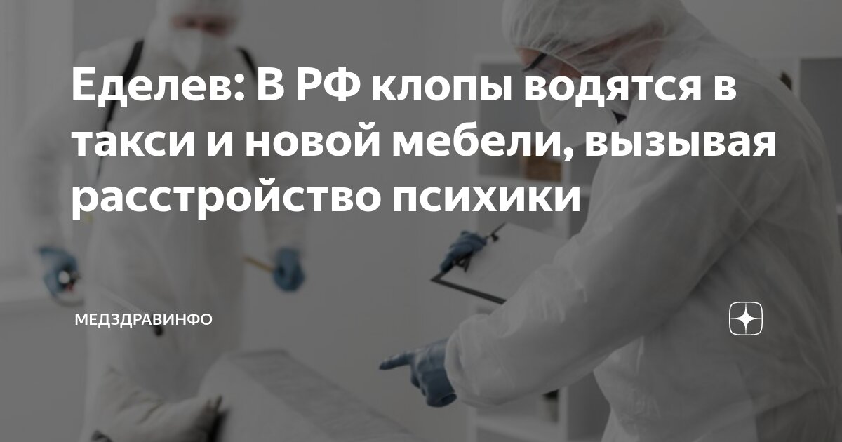 Еделев: В РФ клопы водятся в такси и новой мебели, вызывая расстройство ...