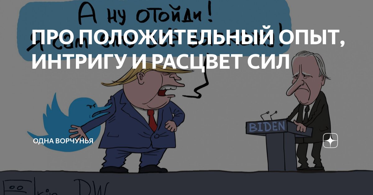 ПРО ПОЛОЖИТЕЛЬНЫЙ ОПЫТ, ИНТРИГУ И РАСЦВЕТ СИЛ | Одна Ворчунья | Дзен