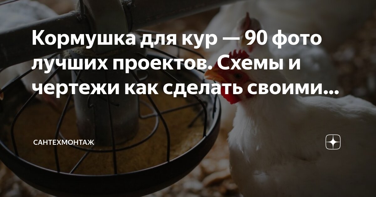 Сделай сам кормушку для птиц