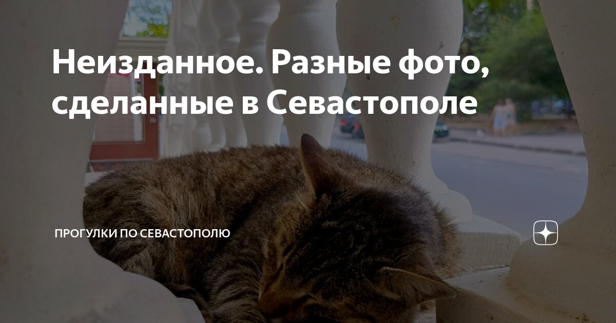 Неизданное. Разные фото, сделанные в Севастополе | Прогулки по ...