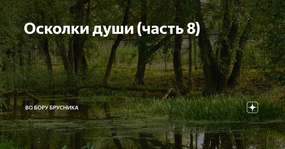 Осколки души (часть 8) | Брусникины рассказы | Дзен