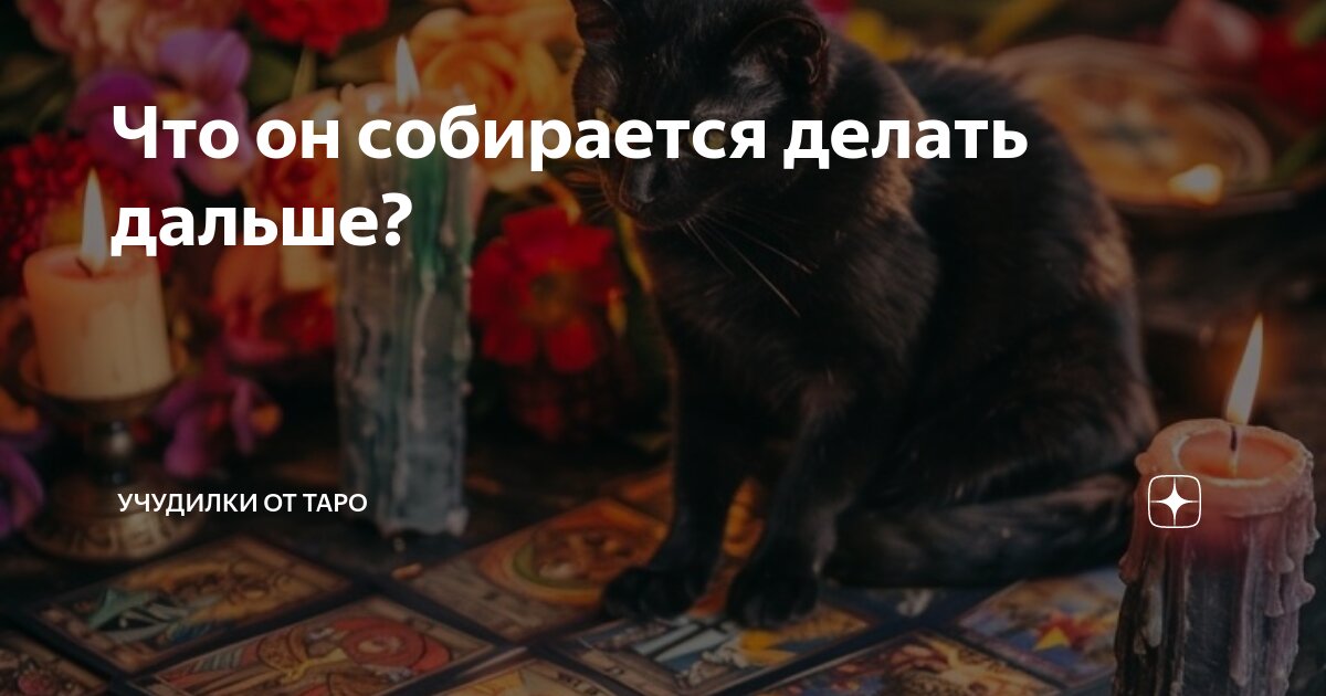 Что он собирается делать дальше? | Учудилки от Таро | Дзен