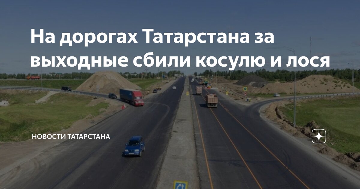 На дорогах Татарстана за выходные сбили косулю и лося Новости Татарстана Дзен