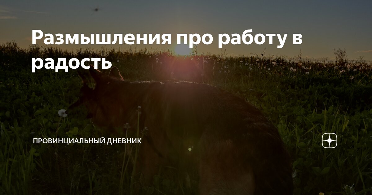 Размышления про работу в радость | Провинциальный дневник | Дзен