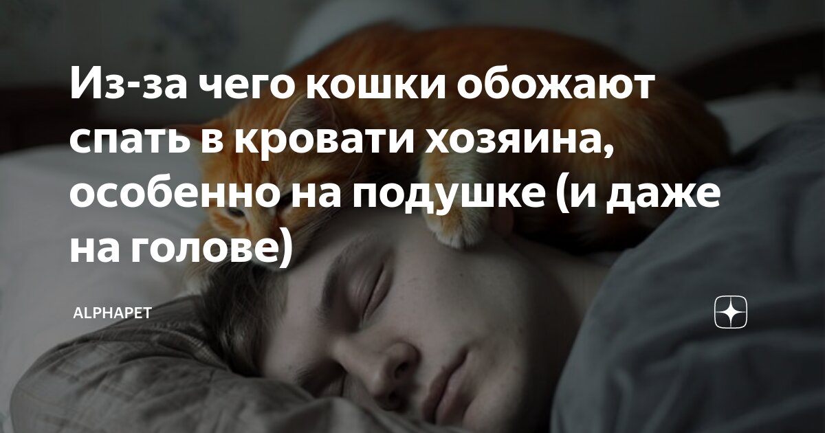 крепко спать в кровати соседа симс