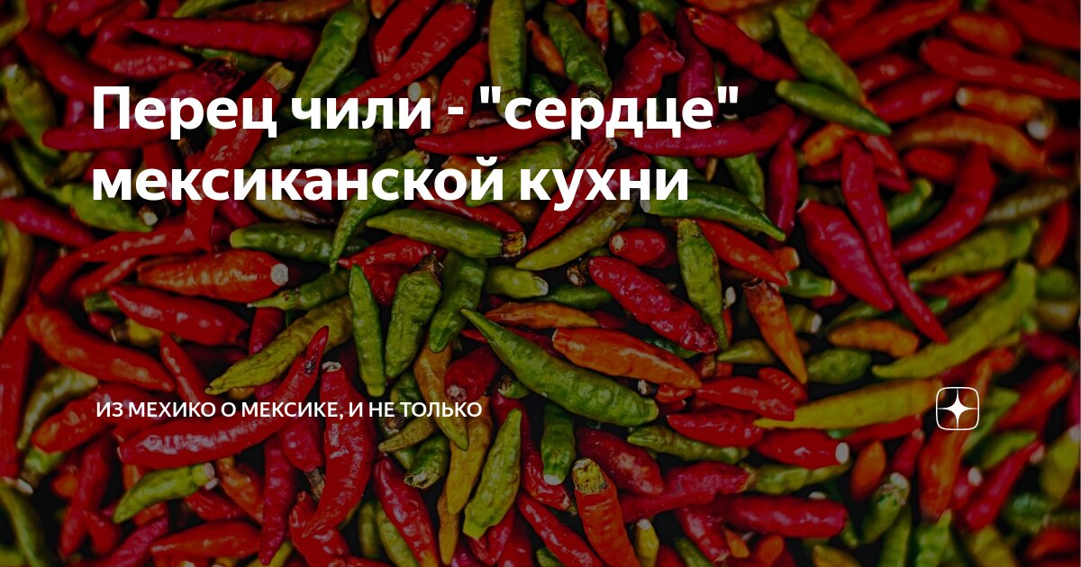 Перец чили - "сердце" мексиканской кухни | Из Мехико о Мексике, и не ...
