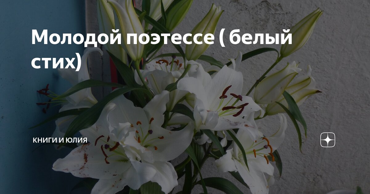 Молодой поэтессе ( белый стих) | Книги и Юлия | Дзен