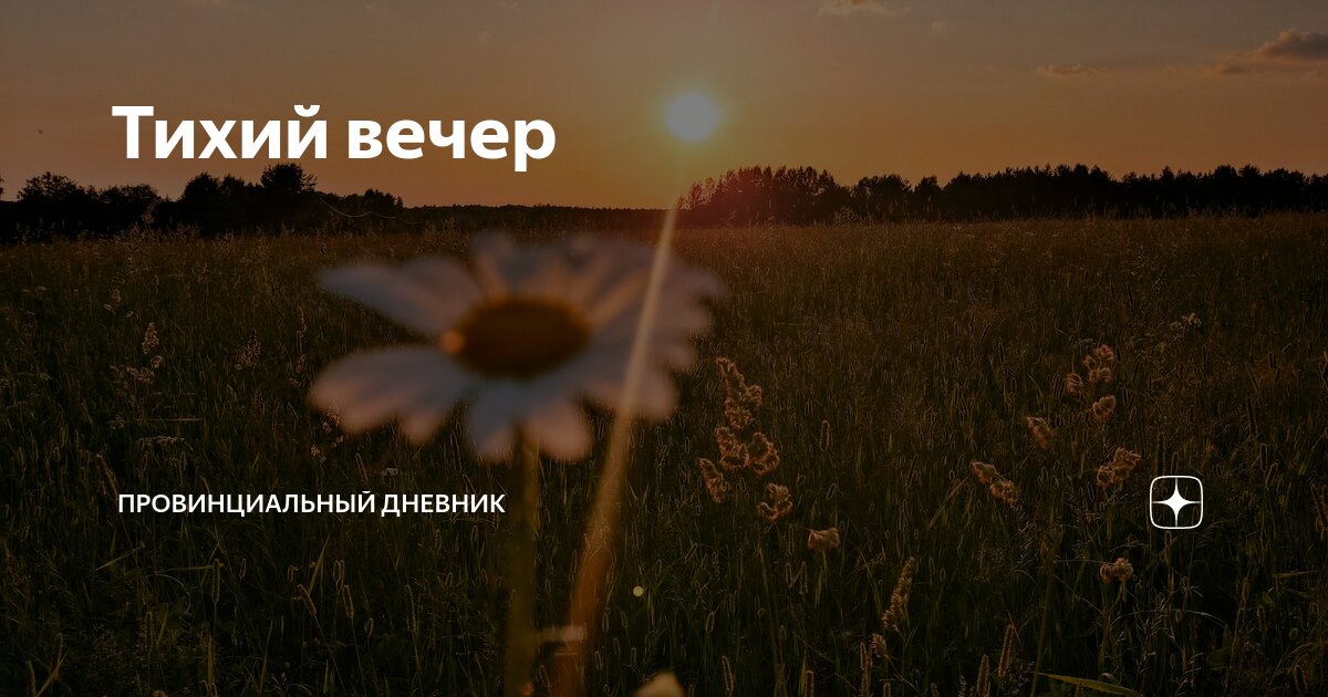 Тихий вечер | Провинциальный дневник | Дзен