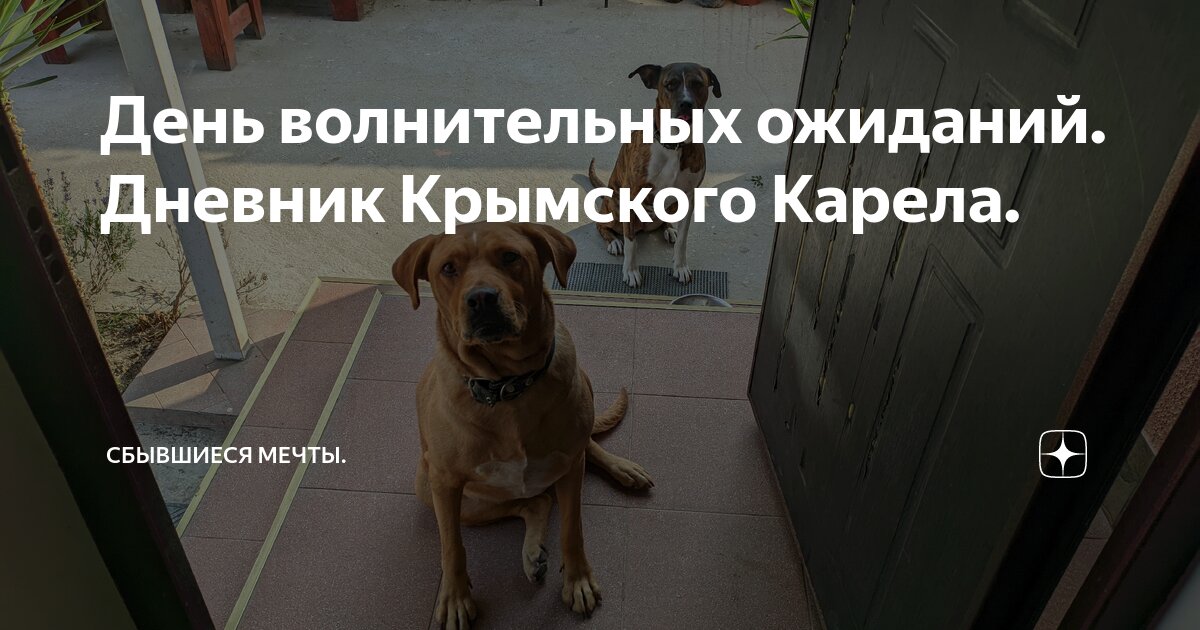 День волнительных ожиданий. Дневник Крымского Карела. | Сбывшиеся мечты ...