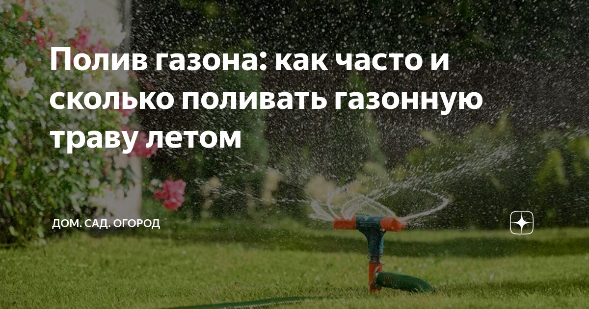 как часто надо поливать газонную траву после посадки
