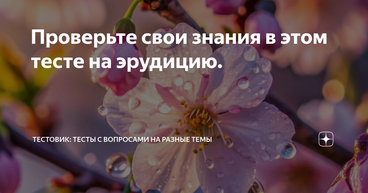Проверьте свои знания в этом тесте на эрудицию. | Тестовик: тесты с ...