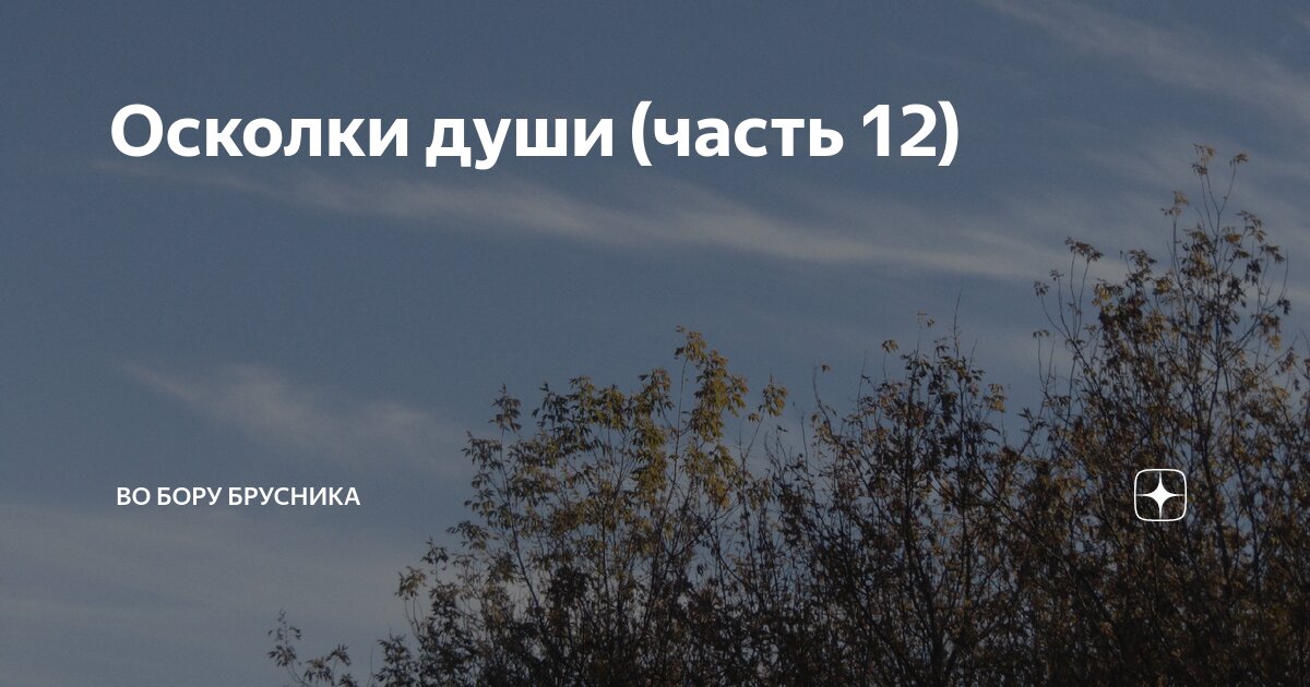 Осколки души (часть 12) | Брусникины рассказы | Дзен