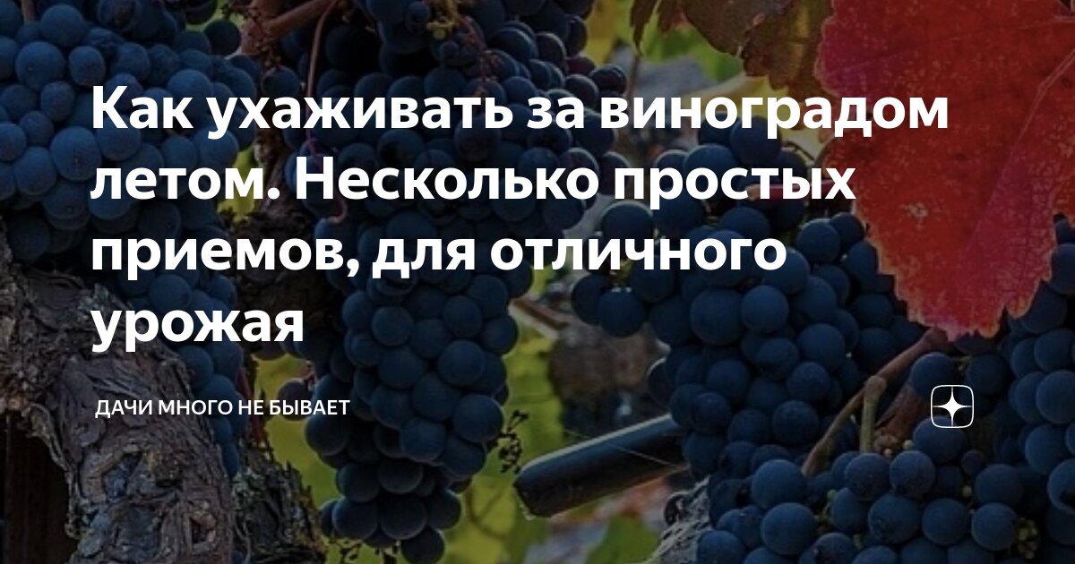 Правильная посадка и выбор места
